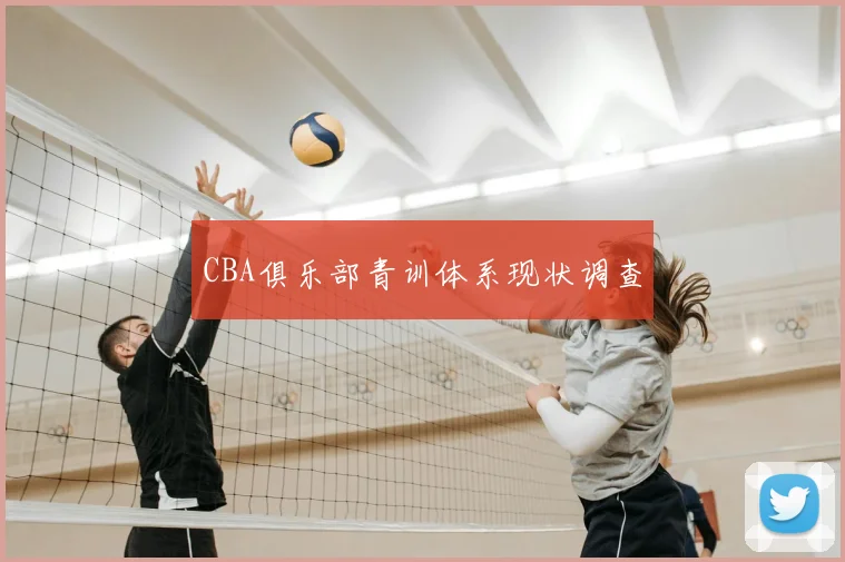CBA俱乐部青训体系现状调查