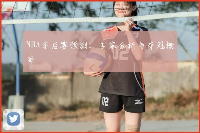 NBA季后赛预测:专家分析与夺冠概率